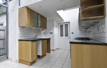 Rhydowen kitchen extension leads